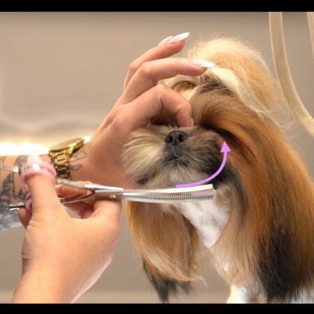 Strzyżenie główki w stylu azjatyckim - Kurs Praktyczny